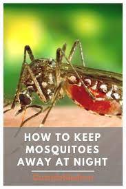 Learn How To Keep Mosquitoes Away At Night Quiet The Buzz Outsidemodern Small Patio Furniture Keeping Mosquitos Away Outdoor Patio Decor