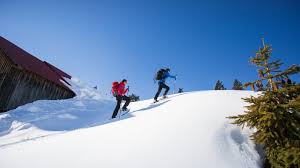 L'agence manpower albertville/ moutiers recherche, des macons vrd, pour intervenir sur différents chantiers, situés en tarentaise ou près d'albertville. Sports D Hiver Et Grands Espaces Pays D Albertville