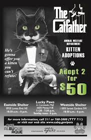 If you are one of those individuals who thinks that the adoption process is too tedious, or that there would be very expensive fees. City Of Albuquerque A Twitter The Catfather Is Heading To Aw Albuquerque And He S Offering Kittens That Folks Can T Refuse For The Rest Of 2018 The Cost Of Adopting Two Cuddly Kitties Is