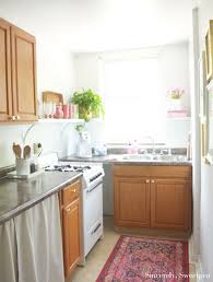 budget friendly apartment kitchen