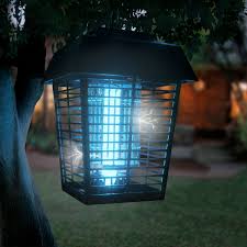 Ddvp strips are lethal to all the bed bug life stages, including eggs. Do Bug Zappers Kill Mosquitoes