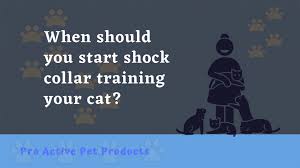 We'll discuss 7 of the best shock collars for large dogs here. Shock Collar For Cats Meowing We Double Surveyed It For You Pro Active Pet Products