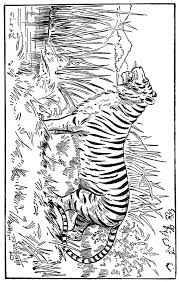 Cat Coloring Pages Karen S Whimsy Cat Coloring Page Coloring Pages Animal Coloring Pages
