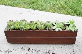 Check spelling or type a new query. Hens And Chicks Plant Care And Grow Guide How To Care Grow Sempervivum