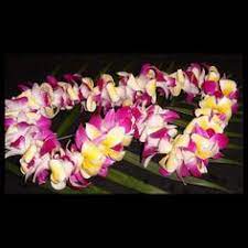 We did not find results for: 23 Popular Leis Ideas Leis Hawaiian Lei Flower Lei