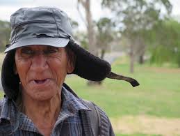 View of In the Shadow of a Willow Tree: A Community Garden Experiment in  Decolonising, Multispecies Research