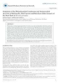 Image result for Heisteria zimmereri