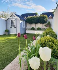 The Purple Tulips Are Out Just In Time To For Their New Owners Visit Tomorrow The Hou Small Garden Landscape Artificial Grass Backyard Backyard Garden Design