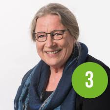 Vill du rösta på svenskspråkiga kandidater har De Gröna i Sjundeå tre  alternativ åt dig: Karin Gottberg-Ek nr 3, Kalle Holm nr 5 och Karl Nilsson  nr 11.