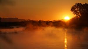 Image result for Sunset Mist 1971 GM