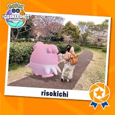 Pokemon go's latest update seems to channel the spirit of pokemon snap to create some amazing kodak moments with your favorite pokemon. Congratulations To The 2019 Go Snapshot Winners Pokemon Go
