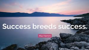 As the disclaimer goes, past performance does not guarantee future returns. Success Breeds Success Youtube