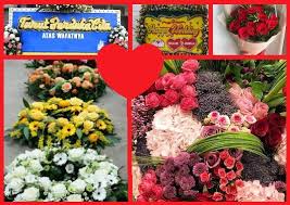Manfaat utama bunga matahari adalah sebagai sumber minyak, baik pangan maupun industri. Florist Toko Bunga Bandung Daftar Alamat