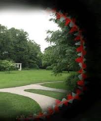 Résultat de recherche d'images pour "Migraine auras"