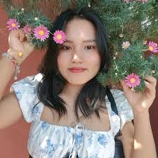 Pipu Thawnthu Vrs Thuthlung Hlui