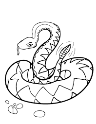 Download and print these rattlesnake coloring pages for free. Rattlesnake Coloring Pages For Toddlers Snake Coloring Pages Coloring Pages Rattlesnake