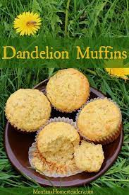 How To Make Delicious Dandelion Muffins Montana Homesteader Dandelion Recipes Foraging Recipes Foraged Food