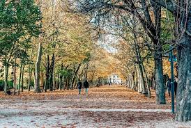 754 autumn valley drive is currently listed for $295,000 and was received on june 21, 2021. Paris In Autumn Reasons To Visit Paris In The Fall Tosomeplacenew