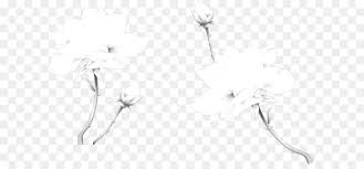 Hibiscus is a beautiful flower that gives you incredible vector designs in black and white and colorful versions. Black And White Flower Png Download 650 408 Free Transparent Black And White Png Download Cleanpng Kisspng