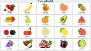 Check spelling or type a new query. 11 Sketsa Buah Buahan Yang Simple Dan Mudah Broonet