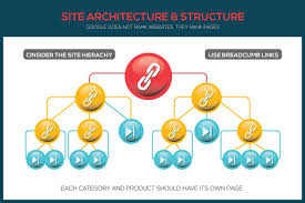Search Engine Optimization Infograph Infographic Elements 75652 Search Engine Optimization Search Engine Make An Infographic