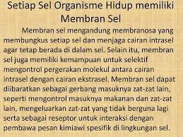 Biologi Sel Homeostasis Dan Komunikasi Antar Sel Dalam Sistem Sistem Tubuh Manusia Oleh Ibd 17 Ni Kadek Puspitasari Ayu Fakultas Ilmu Keperawatan Ppt Download