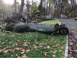 /firewood delivery service/kiln dried firewood in hartford connecticut. Free Firewood Wood Lumber Miscellaneous Items Weston Connecticut Facebook Marketplace Facebook