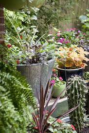 5 Tips For Gardening On The Cheap Budget Backyard Cheap Plants Urban Gardening Balcony