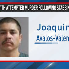 33-year-old White City man charged with Attempted Murder in stabbing of two  male victims