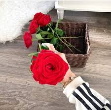 إشراقة الجمعة14 6 19 11شوال1440هجريت ه اد وا الورد ح با ف ي الص ب اح فكم من وردة حمراء أو ياسمينة بيضاء أذابت الفوارق ومسحت الدموع وخففت من معاناة