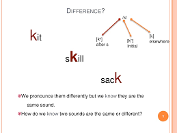 Phoneme And Feature Theory