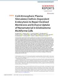 Pdf Cold Atmospheric Plasma Stimulates Clathrin Dependent Endocytosis To Repair Oxidised Membrane And Enhance Uptake Of Nanomaterial In Glioblastoma Multiforme Cells