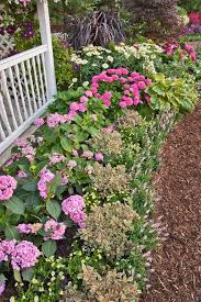 Erp2802 Jpg Proven Winners Shasta Daisies Big Leaf Hydrangea Dream Backyard