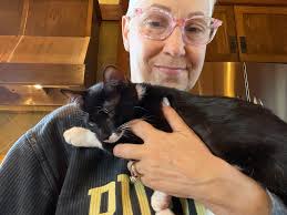 Feline Paralysis as a Reason for Missing Work