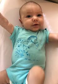 Toddler grey fox 🦊🩶 will be in its way today too !