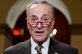In the case of family separation, it's actually true. A Rundown Of The Ups And Downs Of Chuck Schumer S Political Career And His Family Facts