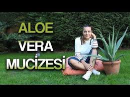Aloe Vera Ile Evde Neler Yapiyorum Maske Tarifi Youtube Aloe Cilt Bakimi Dogal Cilt Bakimi