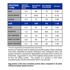 Gaspari Proven Egg 100 Egg White Protein Salted Caramel 2