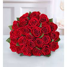 We did not find results for: 1800flowers Two Dozen Red Roses Flower Bouquet 24 Flowers Walmart Com Walmart Com