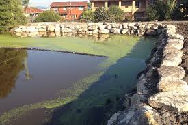 Our experience will not only ensure you get the. Retaining Walls Rock Boulder Sandstone Log Landscapes