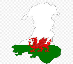 Graham bartram, of the flag institute, said: Flag Of Wales Welsh Dragon National Symbols Of Wales Png 565x720px Wales Area Art Artwork Beak