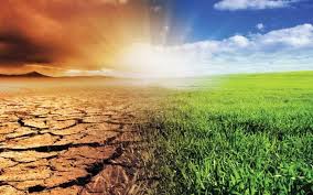 la AGRICULTURA Y EL CAMBIO CLIMATICO