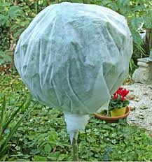 Les voiles et housses d'hivernage permettent une protection des plantes contre le froid, une protection des bourgeons au début du printemps et aussi une protection contre l'attaque des parasites et des oiseaux. Voile D Hivernage Plante En Ligne