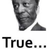Morgan Freeman "True..." (3700 x 3700) : r/MemeRestoration