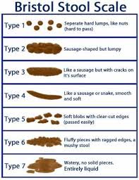 Since it can be hard to state what is normal and what is abnormal, some health type 1 has spent the longest time in the bowel and type 7 the least time. Using The Bristol Stool Scale Vital Food Therapeutics