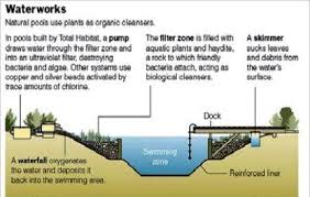 Safe Natural Swimming Pools Chlorine Free Swimming Ponds Natural Swimming Ponds Natural Pool Natural Swimming Pools