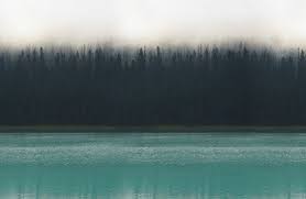 Check spelling or type a new query. Jade Forest From Shopmarriott Marriott Hotels Marriott Hotels Rooms Forest Design