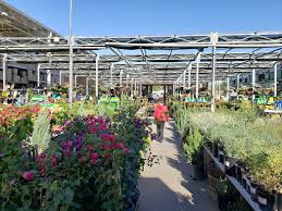 The case for local nurseries. Garden Center At The Home Depot Phoenix 1 602 225 0980