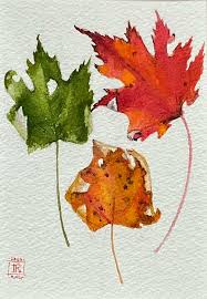 Contains such icons as leaf, plant, nature, environment, ecology, oak, palm, maple, pine. Inspiring Red Maple Leaf Painting Botanical Art For Your Wall