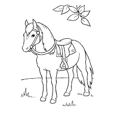 Kleurplaat Paard Pony Kleurplaat Dressuur Wedstrijd Paard Horse Coloring Pages Gratis Printbare Kleurplaten Met Grote Varieteit In Thema S Om Uit Te Printen En In Te Kleuren Coretanku